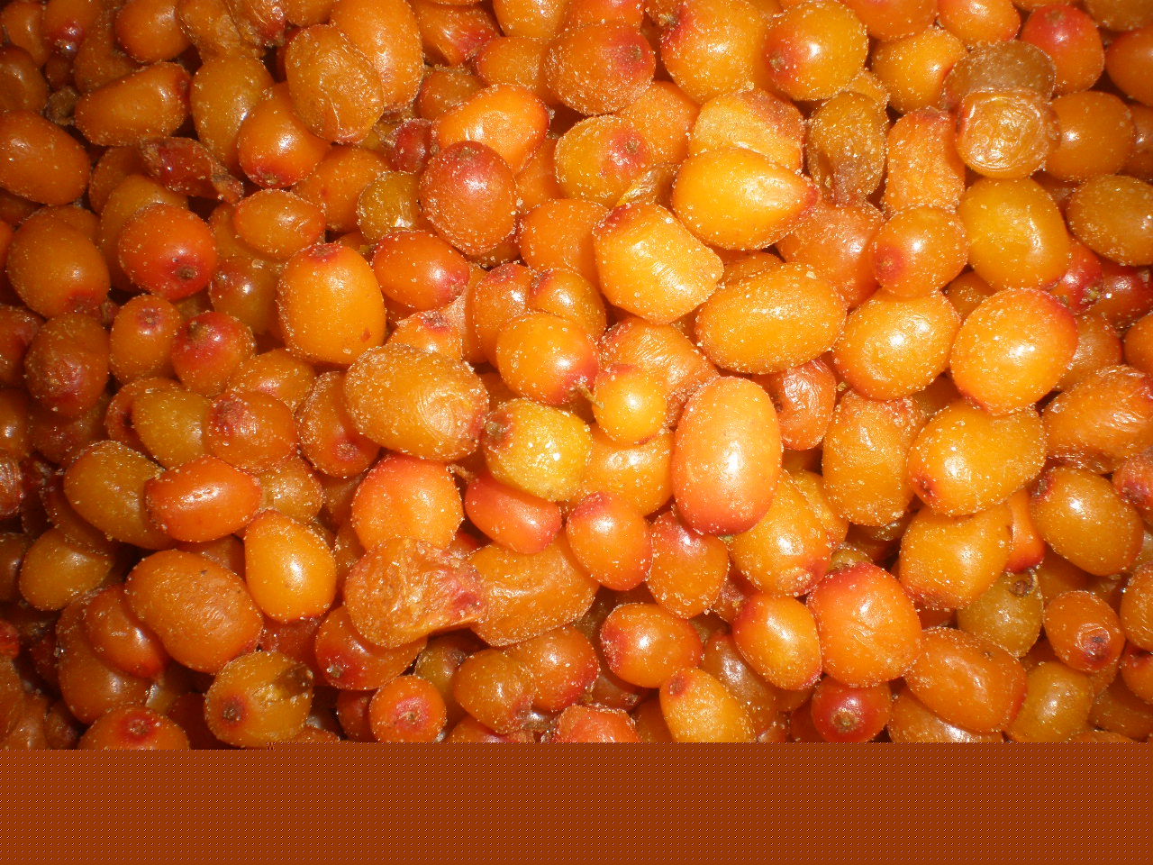 P1152007.JPG P1152007.JPG