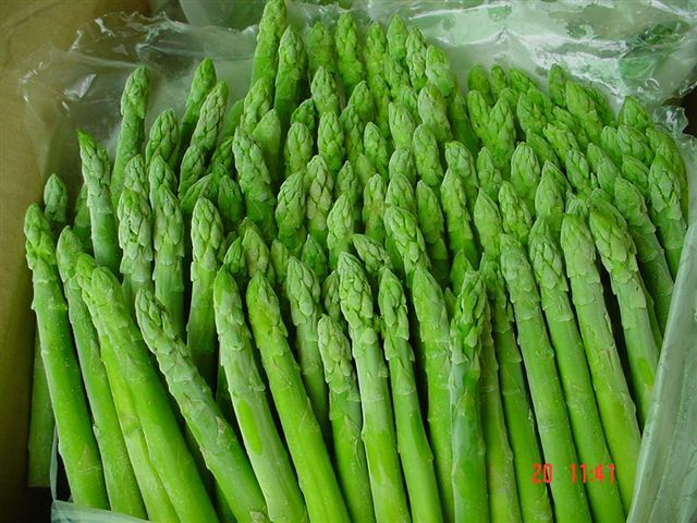 IQF-Frozen-Asparagus-Manufacturer.jpg