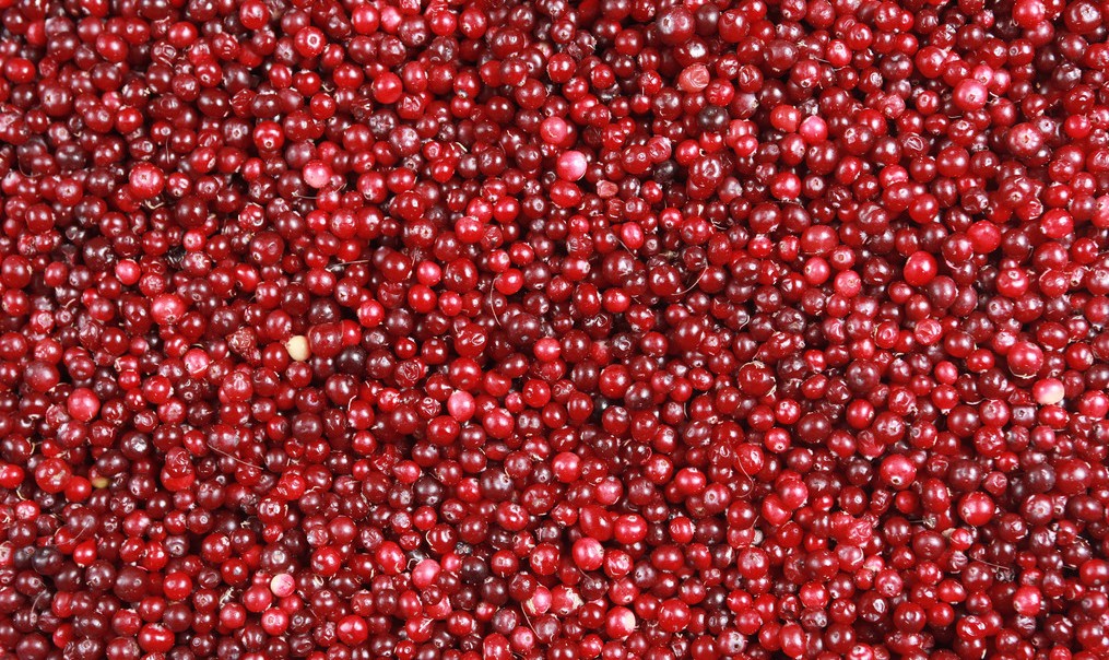 staff_102411.jpg staff_102411.jpg